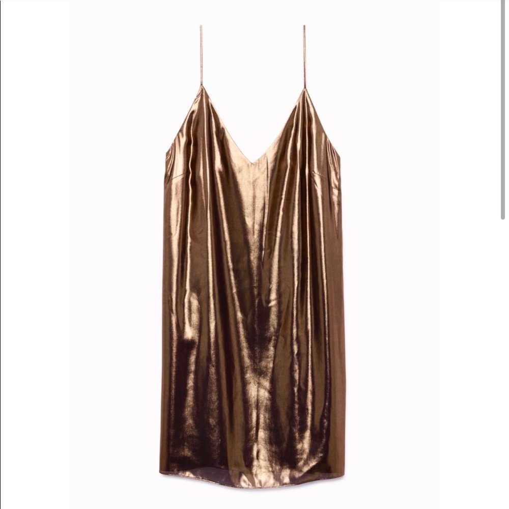 Aritzia Wilfred Slip Dress